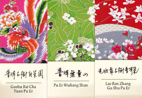 Degustations-Set Gushu Pu Er vertiefen I