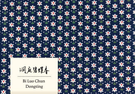 Bi Luo Chun Dongting