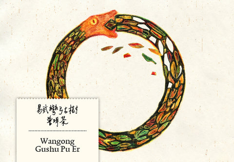 Wangong Gushu Pu Er 25g | Schlangenjahr Edition
