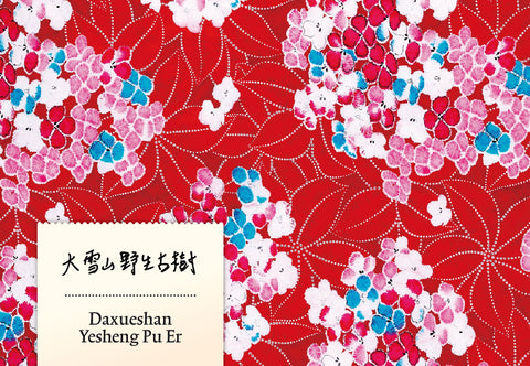 Daxueshan Yesheng Gushu Pu Er 2018