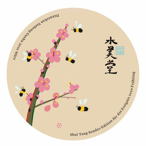 Daxueshan Yesheng Gushu Pu Er 2020 Frühling | 100 g